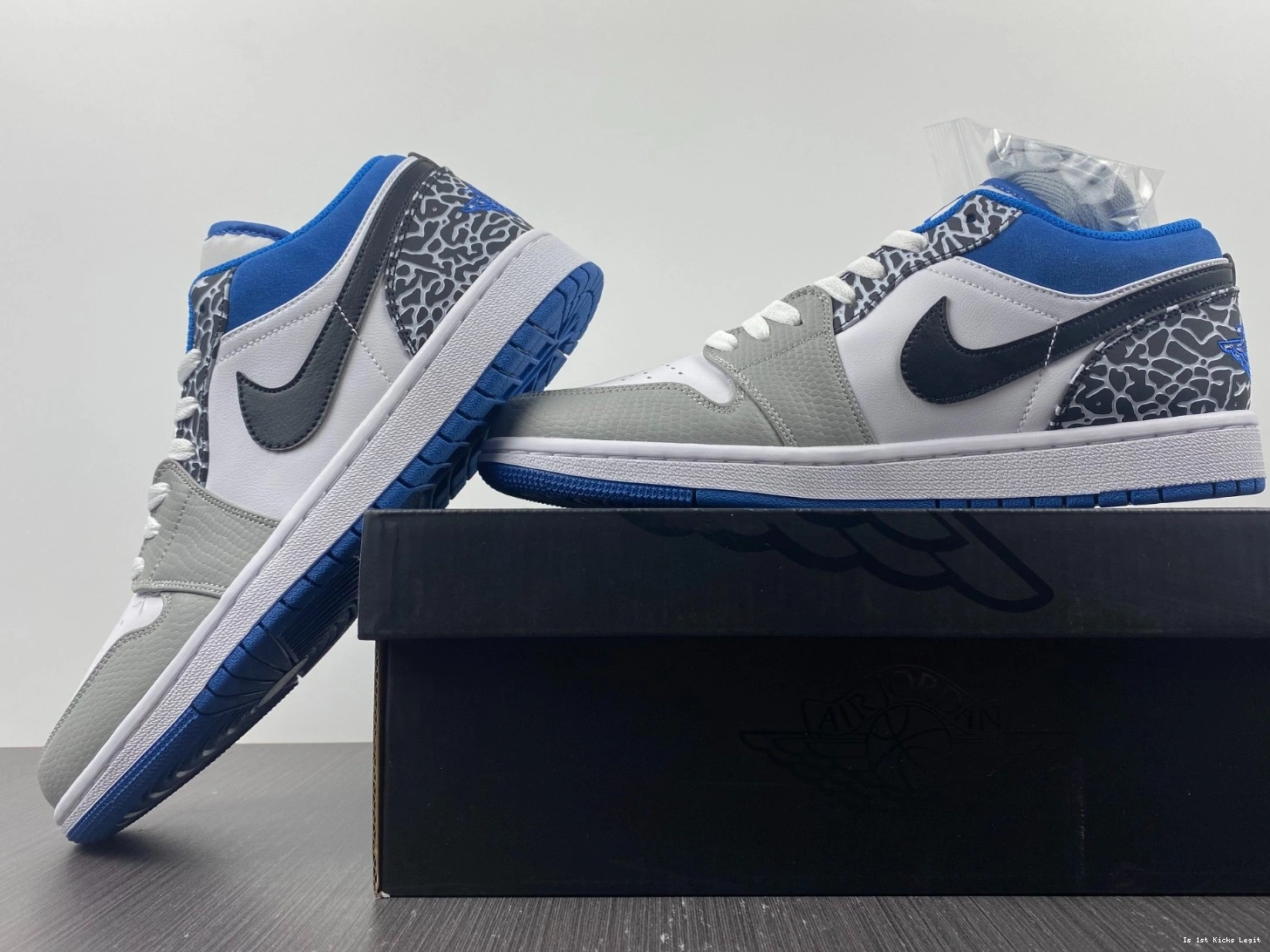 1 Low Blue Air Jordan DM1199-140 True 1008
